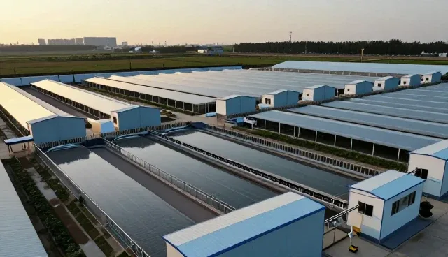 化工产品分装过程中常见问题与应对策略